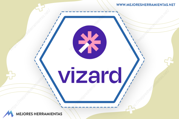 Vizard AI